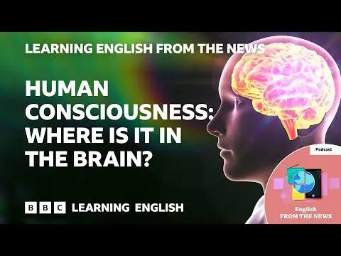 Human consciousness: Where is it in the brain? BBC Learning English from the News