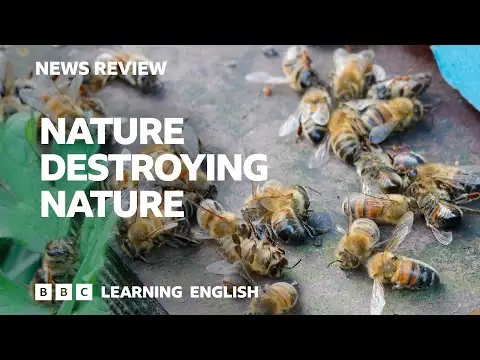 Nature destroying nature: BBC News Review
