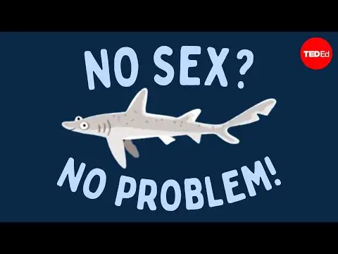 How does this all-female species reproduce? - Susana Freitas and Darren Parker