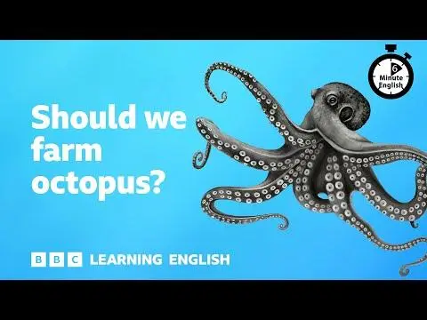 Should we farm octopus? ⏲️ 6 Minute English