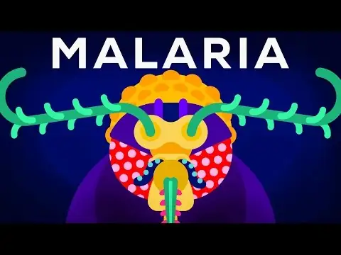 Genetic Engineering and Diseases – Gene Drive & Malaria