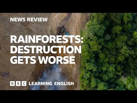 Rainforests: destruction gets worse: BBC News Review