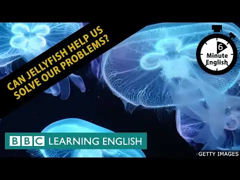 Can jellyfish help us solve our problems? 6 Minute English