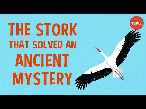 The spear-wielding stork who revolutionized science - Lucy Cooke